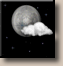 Thursday Night: Mostly clear, with a low around 24. Thursday Night: Mostly Clear